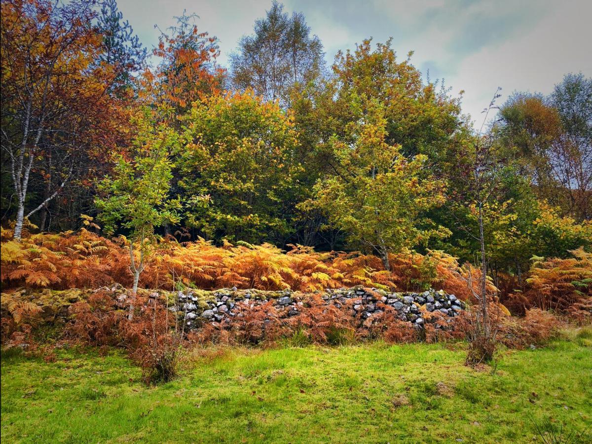Tarmachan Cottage - West Highland Getaway 포트 윌리엄 외부 사진
