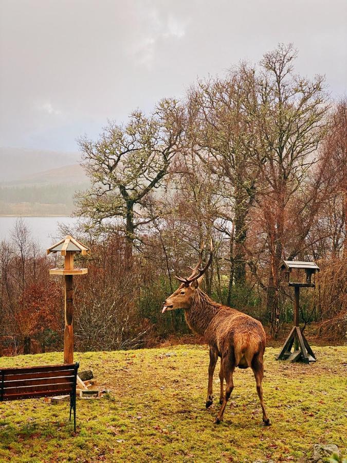 Tarmachan Cottage - West Highland Getaway 포트 윌리엄 외부 사진